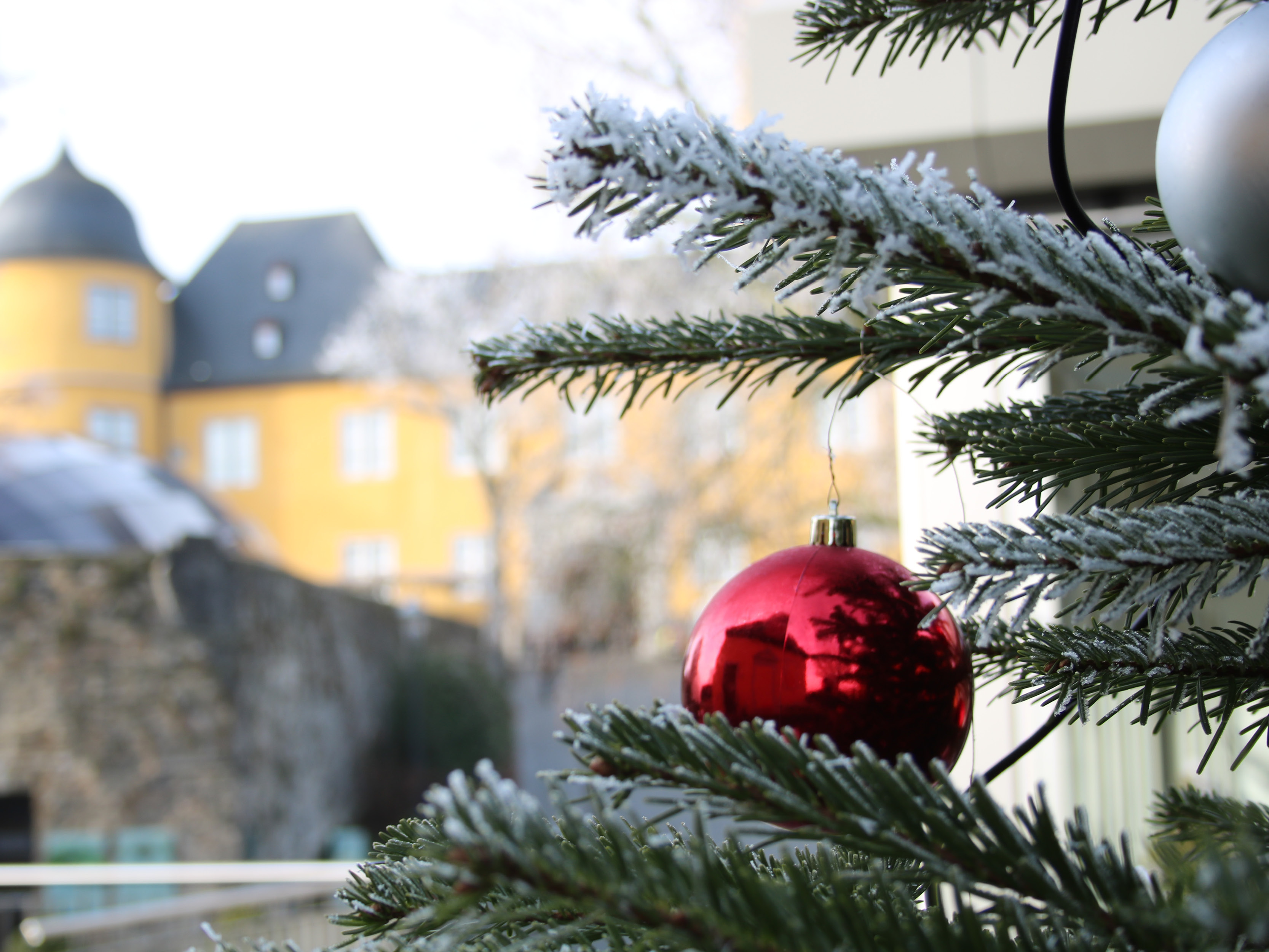 Winterliche Stimmung am Schloss Montabaur Nahaufnahme eines geschmückten Tannenzweigs mit roter Kugel und Schneeeffekt, im Hintergrund das gelbe Schloss Montabaur mit Türmen und grauen Dächern, leicht verschwommen