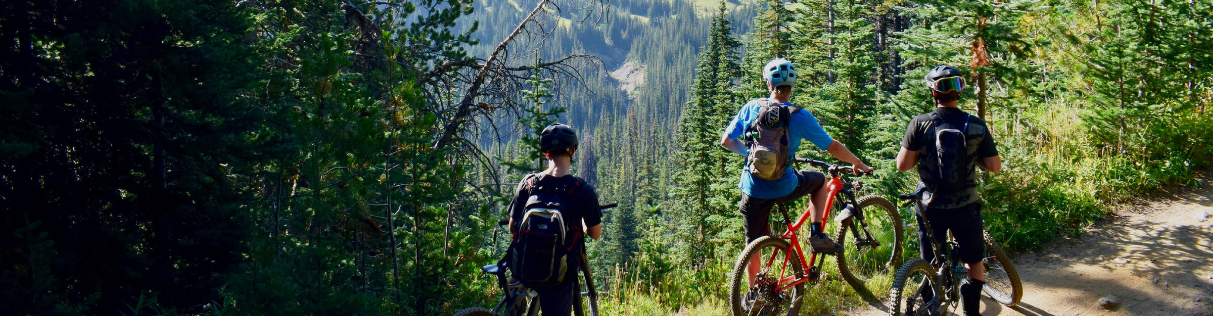 Three cyclists wearing helmets and backpacks standing on a sunlit forest path surrounded by tall pine trees, with expansive green hills and valleys visible in the background under a clear sky