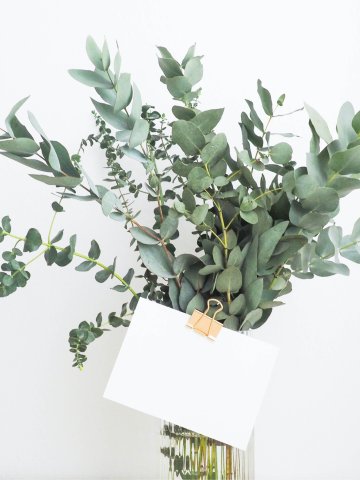 Minimalistisches Arrangement – Glasvase mit frischen Eukalyptuszweigen, daran befestigt eine weiße Karte mit goldener Klammer, vor hellem Hintergrund