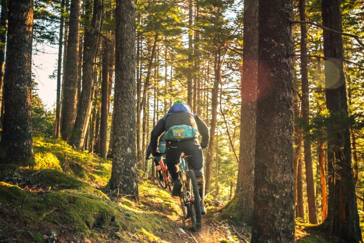 Mountain biking adventure in the forest – Experience nature actively A person riding a mountain bike on a narrow forest trail between tall trees, surrounded by moss and sunlight filtering through the branches