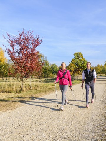 Wandern im Westerwald – Aufstieg über naturbelassene Wege mit Wanderschuhen und Rucksäcken, Natur pur beim Kurzurlaub im Schloss Montabaur