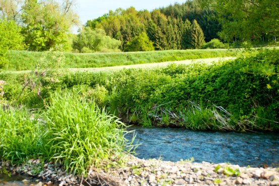 Westerwald-Landschaft – glasklarer Bach mit Kiesbett, umgeben von üppigem Grün, Wiesen und Bäumen unter blauem Himmel beim Kurzurlaub im Schloss Montabaur