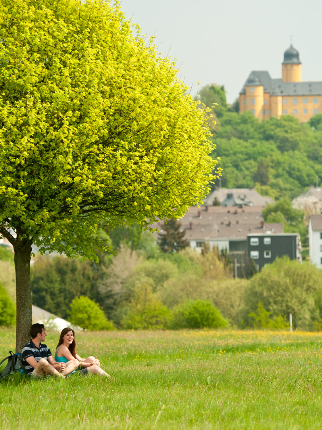 Grüne Wiese mit einem großen Baum, unter dem zwei Personen sitzen, im Hintergrund Schloss Montabaur auf einem bewaldeten Hügel, umgeben von Häusern und üppigem Grün unter hellem Himmel