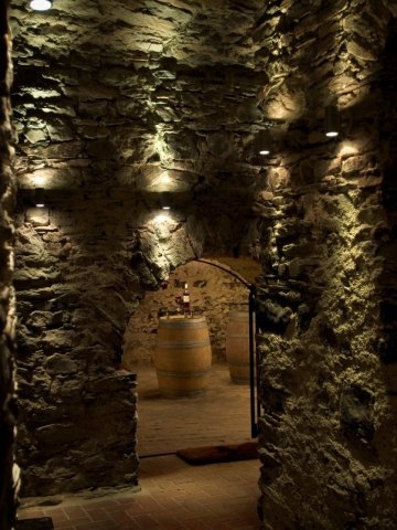 Atmospherically lit vaulted cellar in Hotel Schloss Montabaur with a festively laid table for up to 18 guests